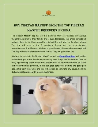 Buy Tibetan Mastiff from the Top Tibetan Mastiff Breeders in China