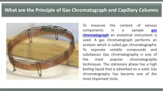 what are the principle of gas chromatograph
