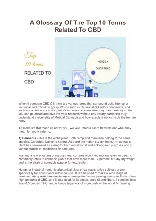 a glossary of the top 10 terms related to cbd