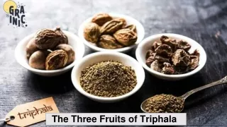 The Three Fruits of Triphala