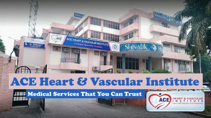 ace heart vascular institute