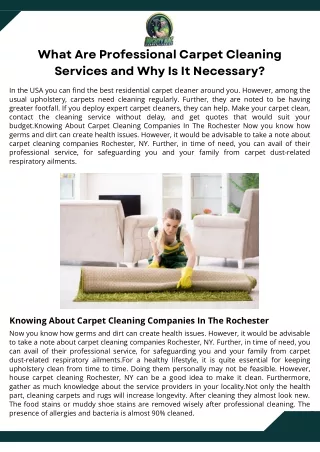 What Are Professional Carpet Cleaning Services and Why Is It Necessary?