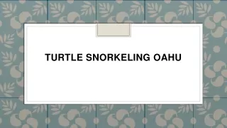 turtle snorkeling oahu