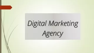 Digital Marketing Agency