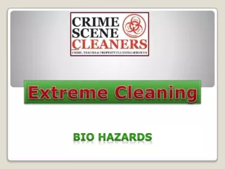 Extreme Cleaning