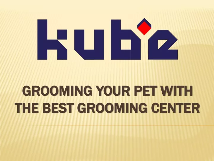 grooming your pet with the best grooming center