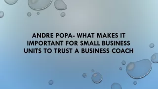 Andre Popa- What Makes It Important for Small Business Units to Trust a Business Coach