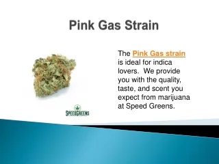 Pink Gas Strain