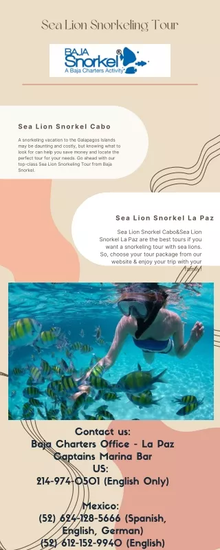 Sea Lion Snorkeling Tour