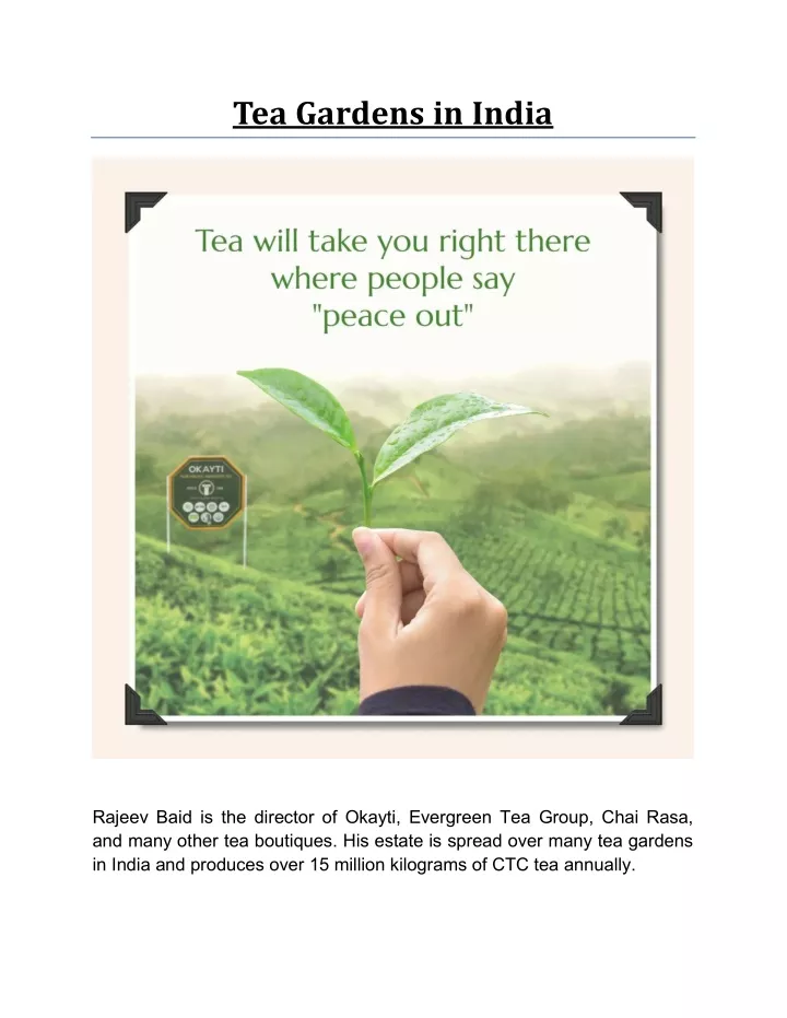 tea gardens in india