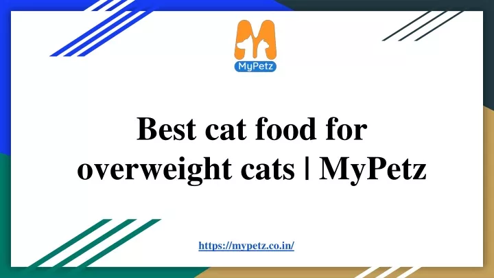 best cat food for overweight cats mypetz