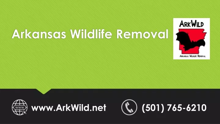 arkansas wildlife removal