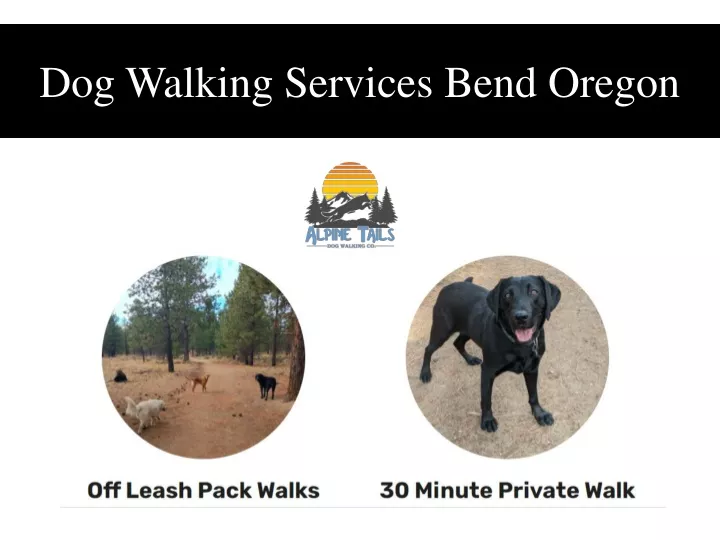 dog walking services bend oregon