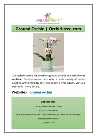 Ground Orchid | Orchid-tree.com