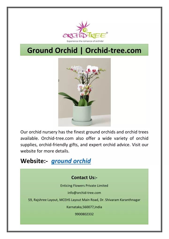ground orchid orchid tree com