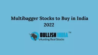 The Best Multibagger Stocks In 2022