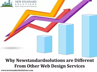 Why Newstandardsolutions are Different From Other Web Design Services
