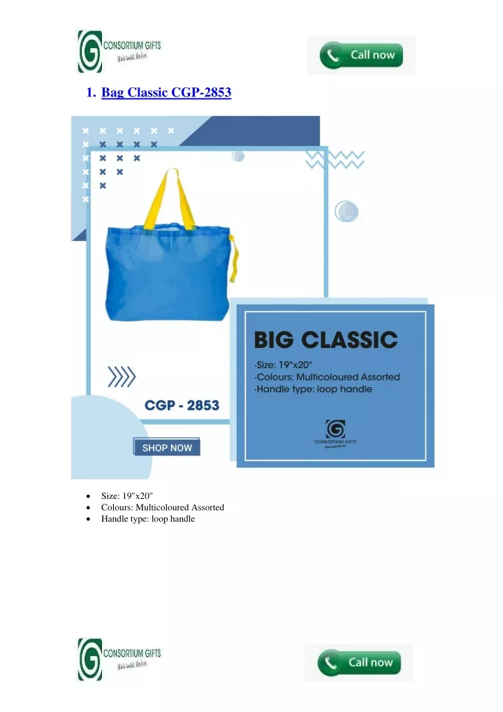 1 bag classic cgp 2853