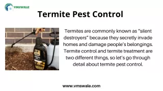termite pest control