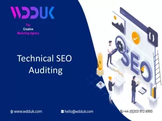 technical seo auditing