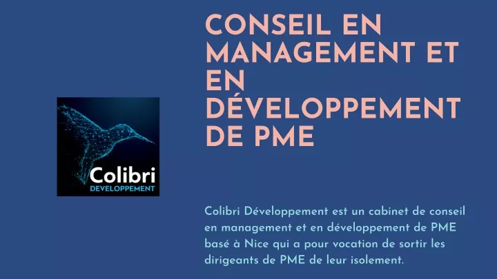 conseil en management et en d veloppement de pme