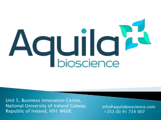 unit 5 business innovation centre national