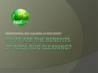 What Are The Benefits Of Area Rug Cleaning, nkcleaning
