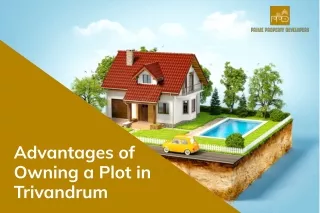 Advantages of Owning a Plot in Trivandrum | Plot for Sale in Trivandrum | PPD