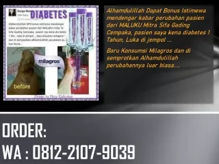 MEMPAN! WA 0812-2107-9039, Obat Diabetes Aman Untuk Ginjal Milagros