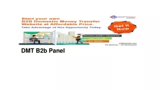 dmt b2b panel