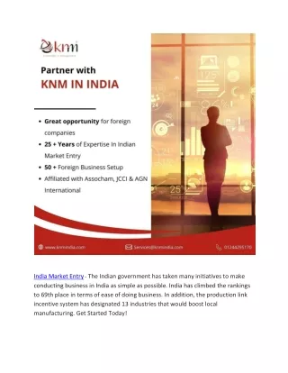 india market entry the indian government