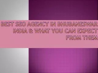 Best SEO Agency In Bhubaneswar India & What You Can Expect From Them