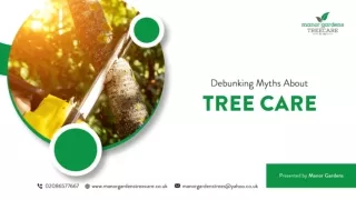 Debunking Myths About Tree Care
