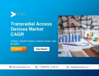 transradial access devices