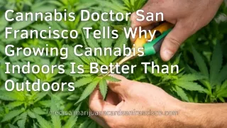 Cannabis Doctor San Francisco Tells Why Growing Cannabis Indoors Is Better Than Outdoors
