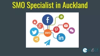 SMO Specialist in Auckland