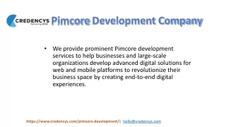 pimcore development company