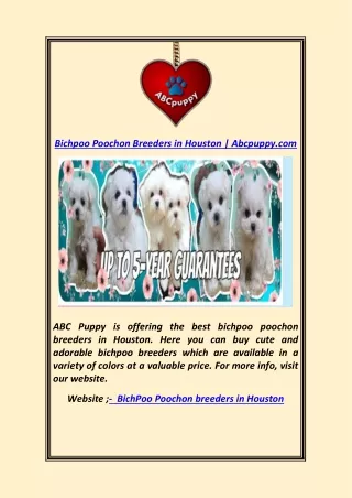 bichpoo poochon breeders in houston abcpuppy com