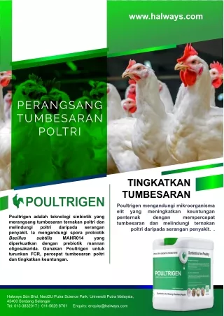 POULTRIGEN BROCHURE AYAM HD - Copy