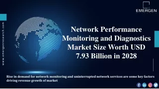 network performance monitoring and diagnostics
