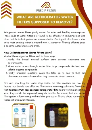What are Refrigerator Water Filters Supposed to Remove?