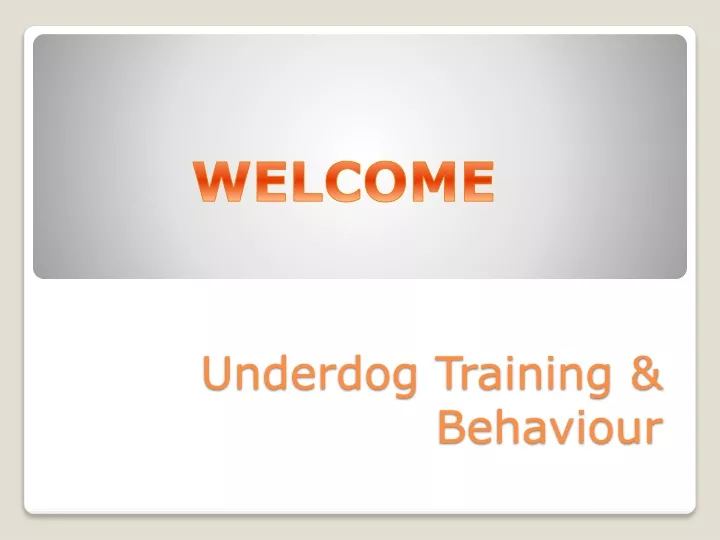 underdog training behaviour