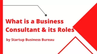 Startup Business Consultants & Their Role | Startup Business Bureau