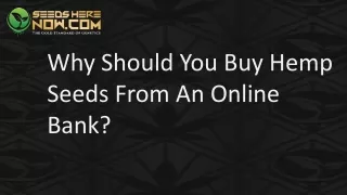 Why Should You Buy Hemp Seeds From An Online Bank?