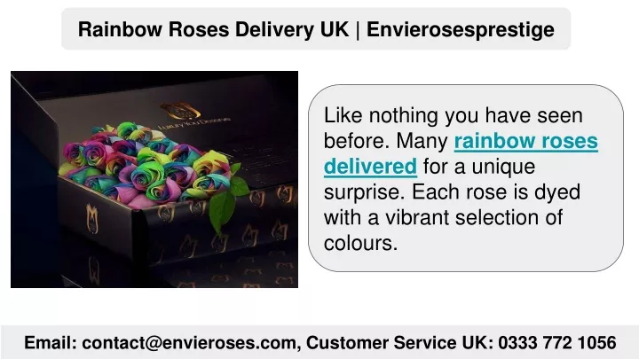 rainbow roses delivery uk envierosesprestige