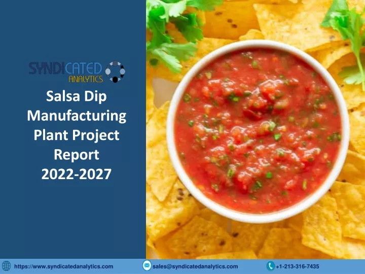 salsa dip manufacturing plant project report 2022