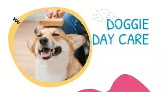 Dog Day Care Service In OKC