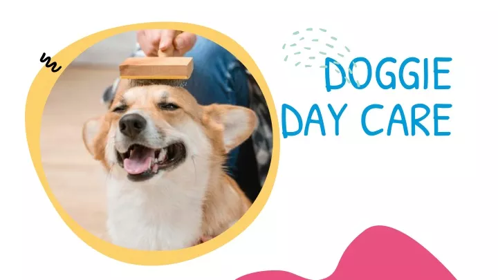 doggie day care