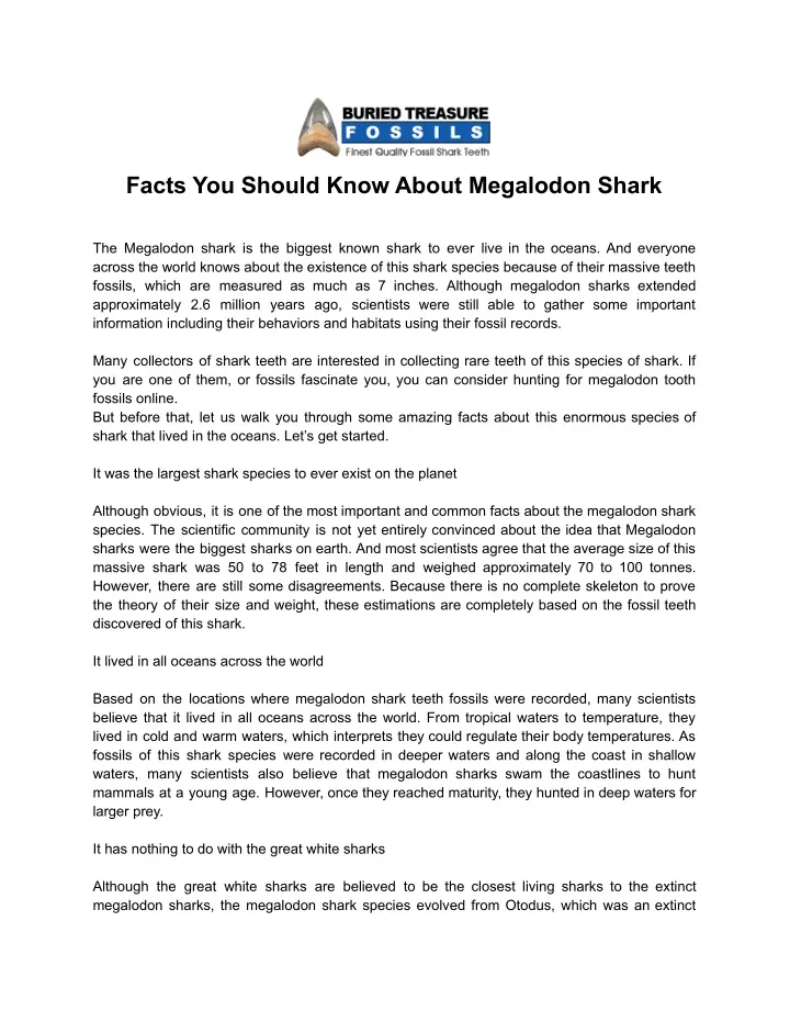 facts you should know about megalodon shark