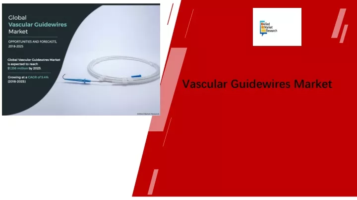 vascular guidewires market